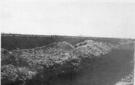 ww1 vf trench photo 2 .jpg