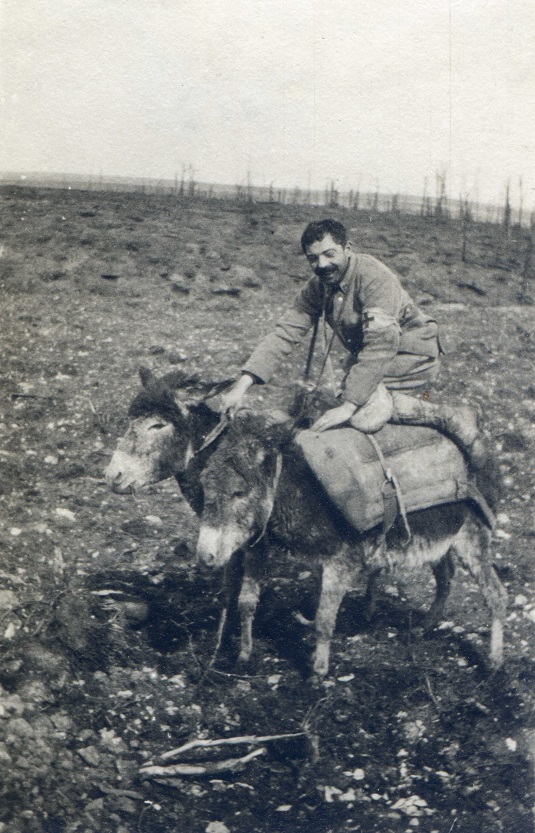 Bourricots égarés Verdun 1917.jpg