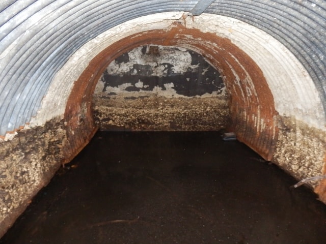 PA111932 (640x480)-min[1].jpg