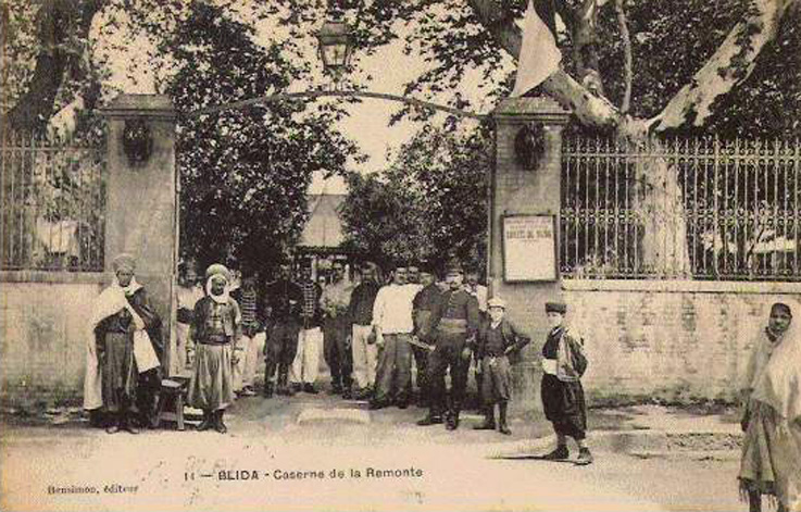 Dépôt de remonte - Blida - III- .jpg