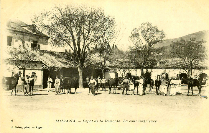 Dépôt de remonte - Miliana - I - .jpg