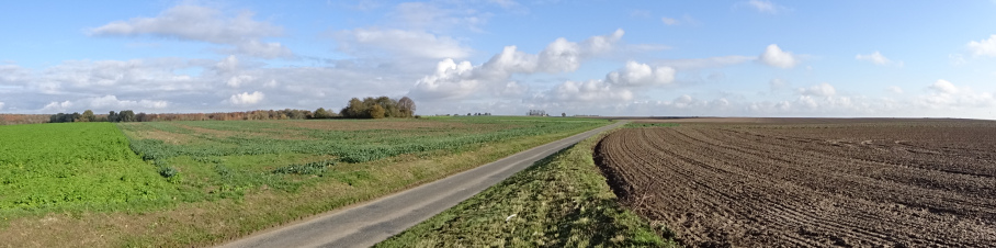 0000 quenneviere ferme.jpg