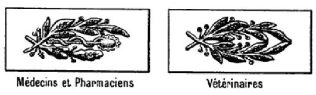 Insignes.jpg