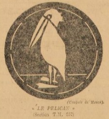 Insigne-Pelican.jpg