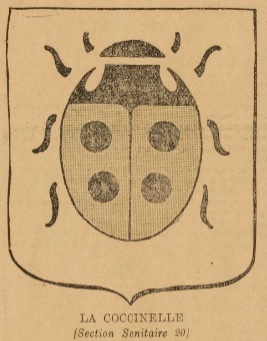 Insigne-Coccinelle.jpg