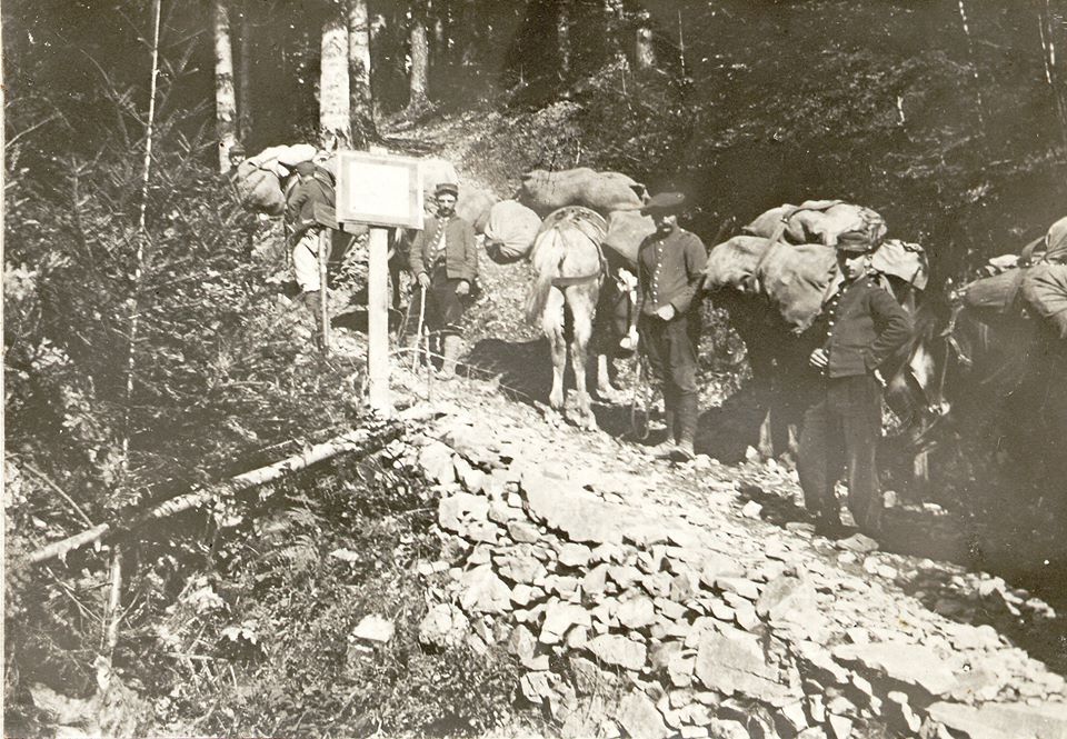 GUSTIBERG_Colonne mulet.jpg