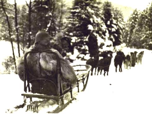 Niderlauchen, 3 mars 1916, le Général Nollet dans son traineau..jpg