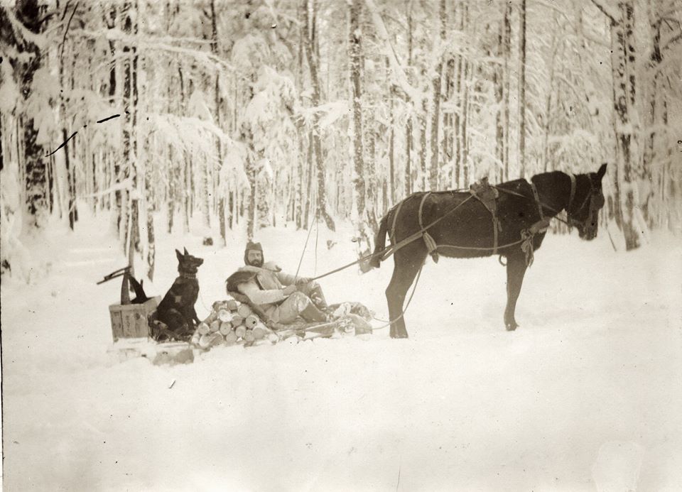 Service Postal_ Hiver 1915.jpg