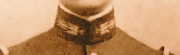 COL bis.jpg