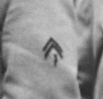 signe.jpg