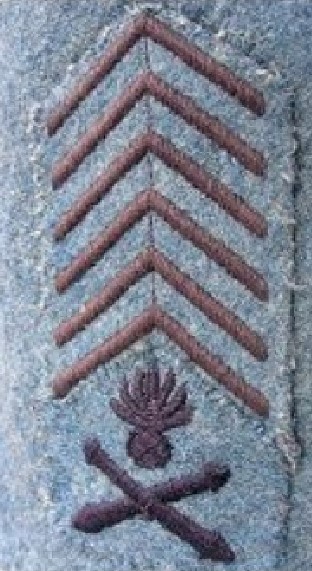 1915 Tireur-pointeur.jpg