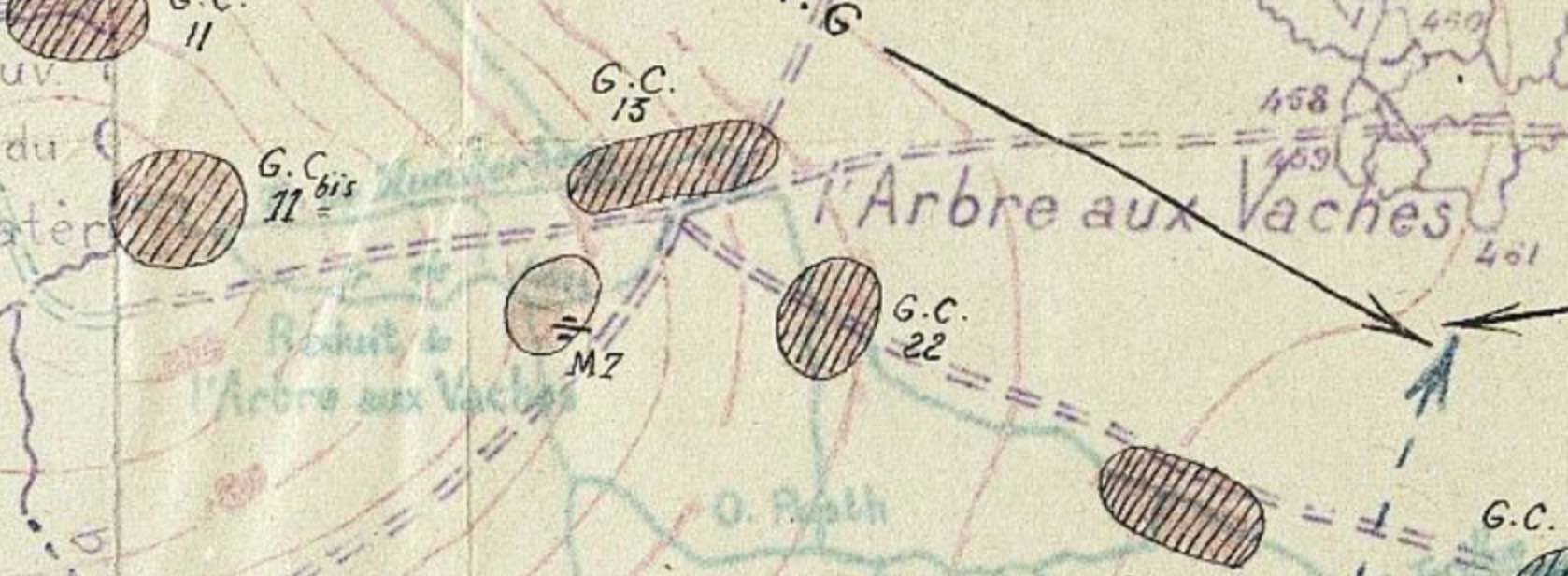 Reduit-Arbre-aux-vaches.jpg
