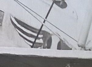 Insigne escadrille.jpg