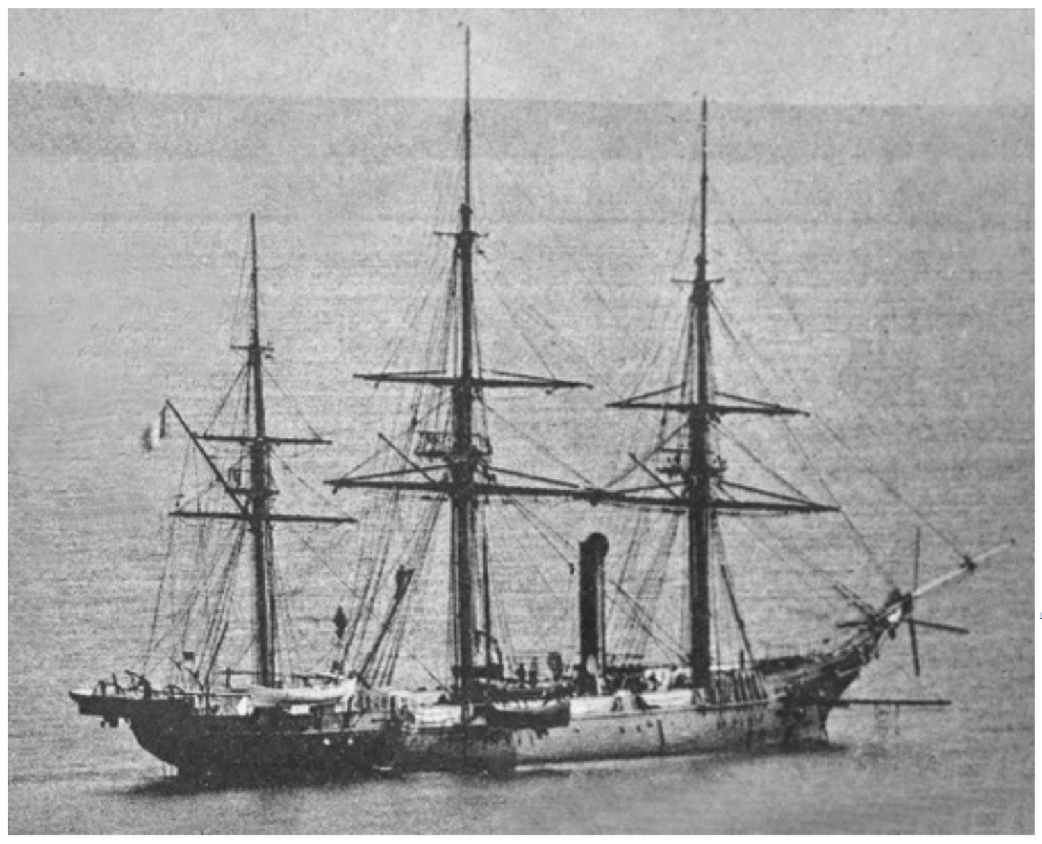 Frégate . . . . . . . (02a)-min.jpg