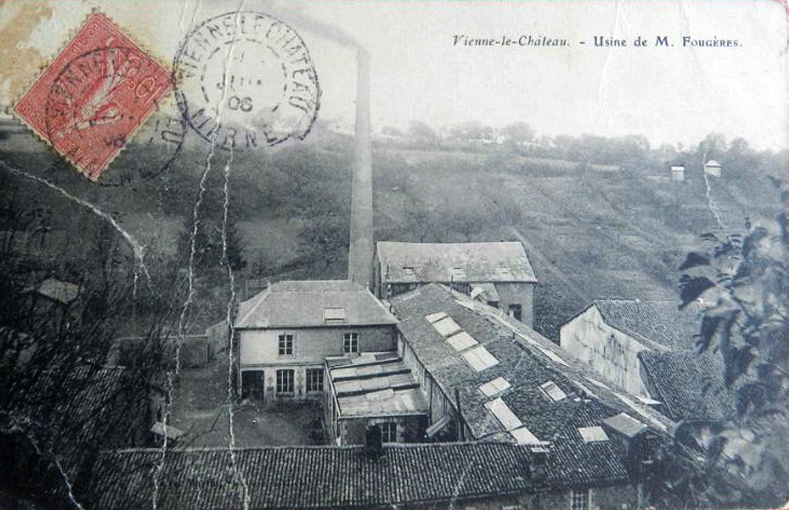 00 fougères.JPG