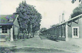 Vadenay - ferme hippique - 2.jpg