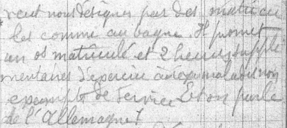os matriiculaire détail.jpg