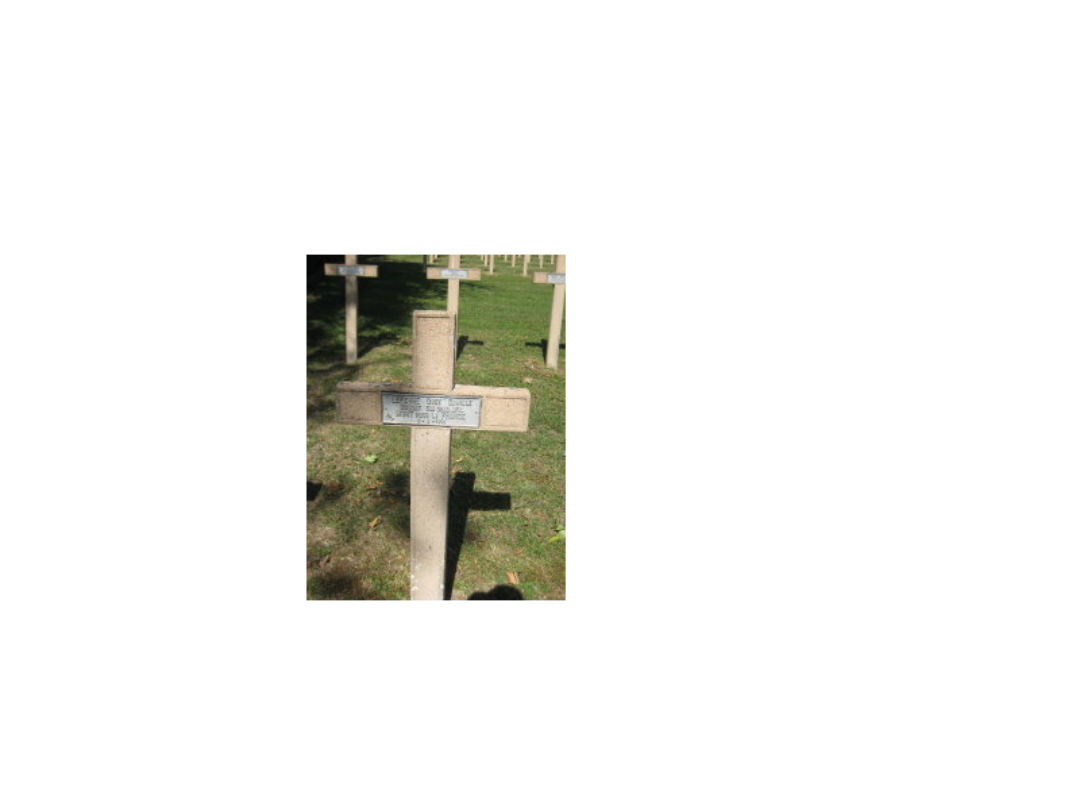 LEFEVRE Osée.png