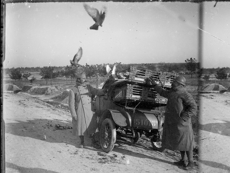 29a Voiture N° 51018 avec casiers à pigeons2.jpg