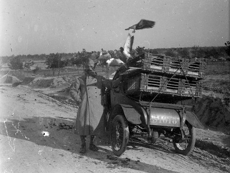 29d Voiture N° 51018 avec casiers à pigeons1.jpg