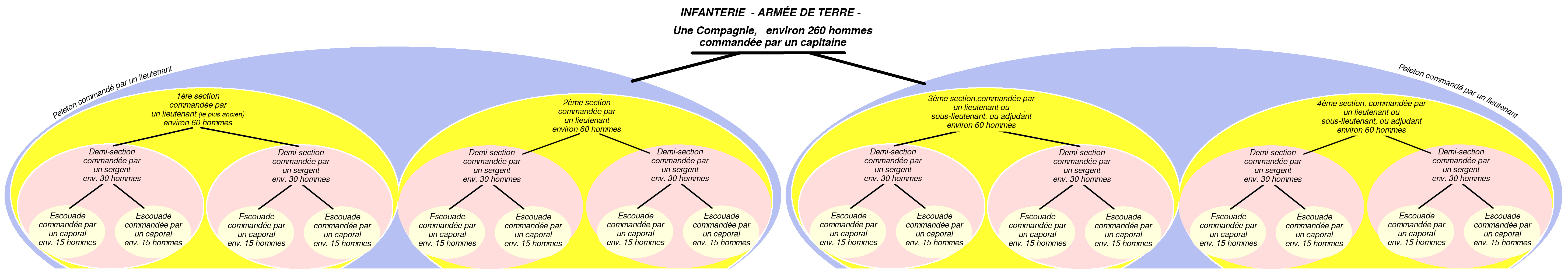 Composition Compagnie.jpg