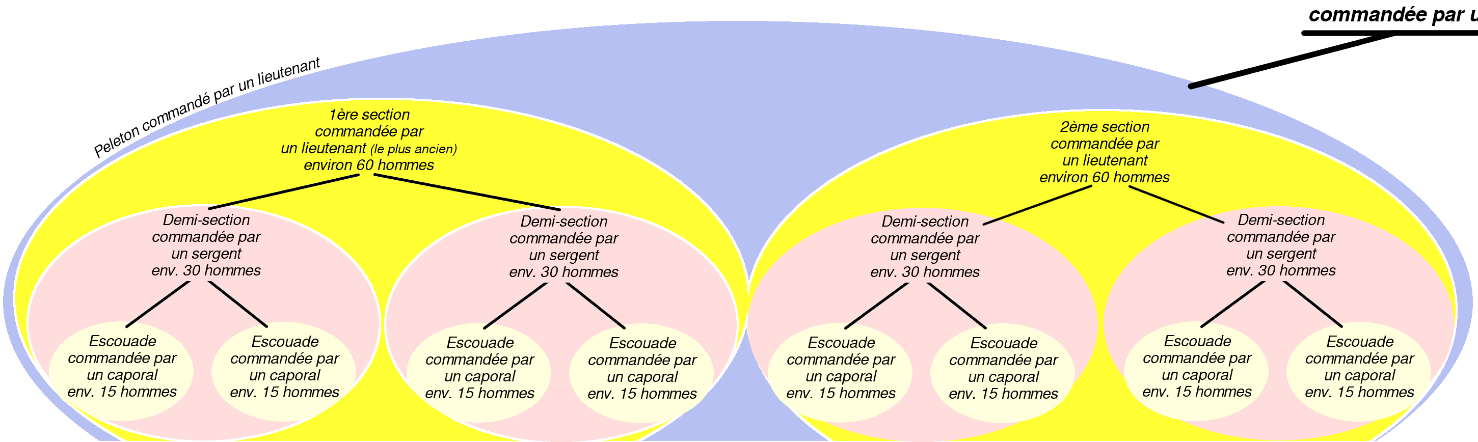 Composition peleton.jpg