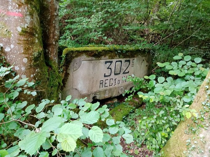 lavoir du 302.jpg