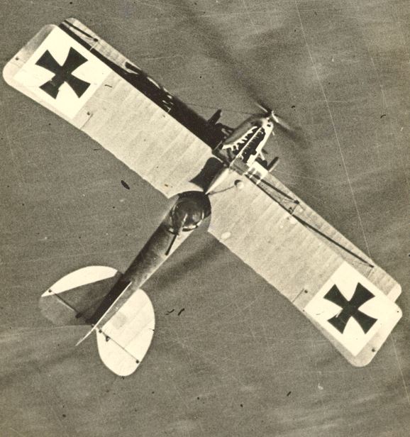 albatros.JPG