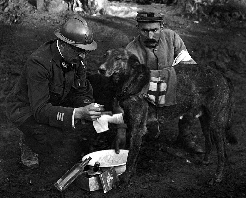 1915 Médecin major de 2ème classe.jpg