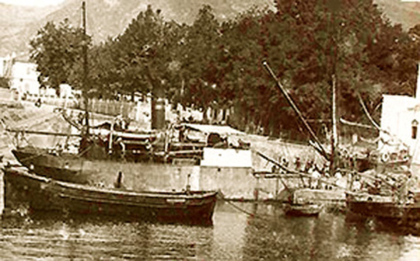NOTRE-DAME-D’AFRIQUE – Cargo caboteur – 1 –  .jpg