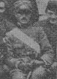 BIANCHI_NIUTTA_photo_zoom_droite.JPG