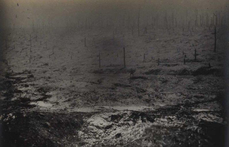 bois Haudromont.jpg