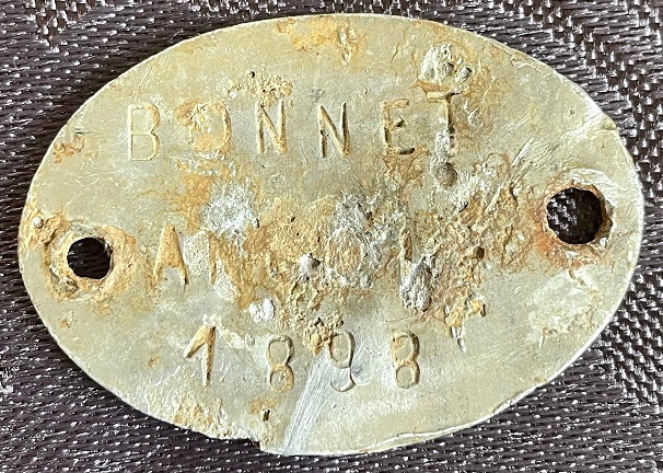 Bonnet 1.jpg