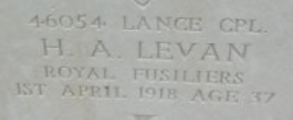 Levan.png
