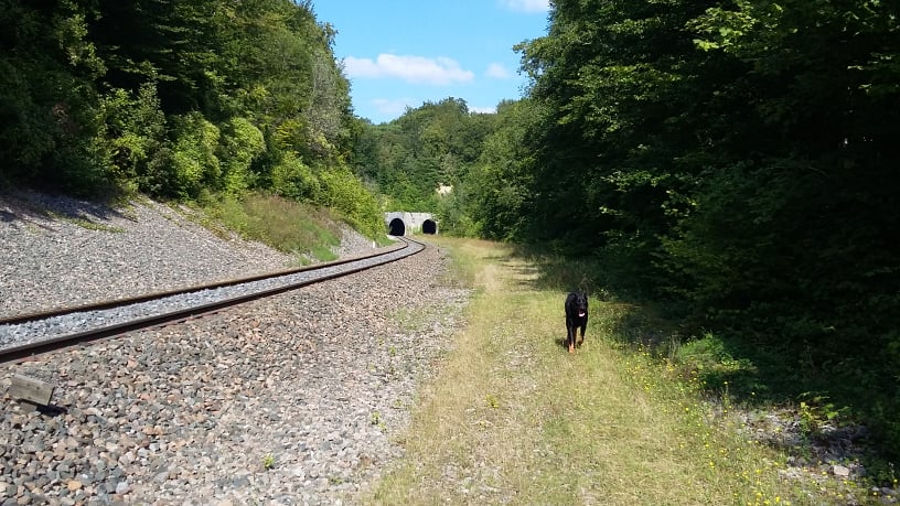 Tunnels ouest Thor.jpg