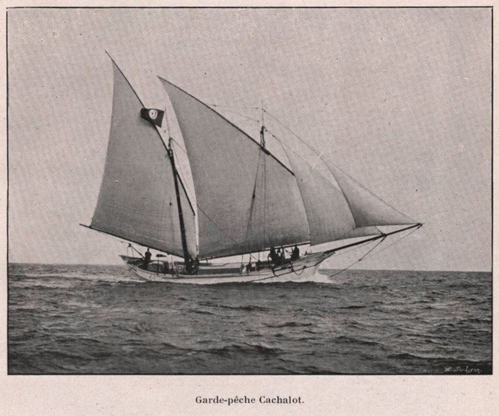 CACHALOT – Garde-pêche à voile – I –  .JPG