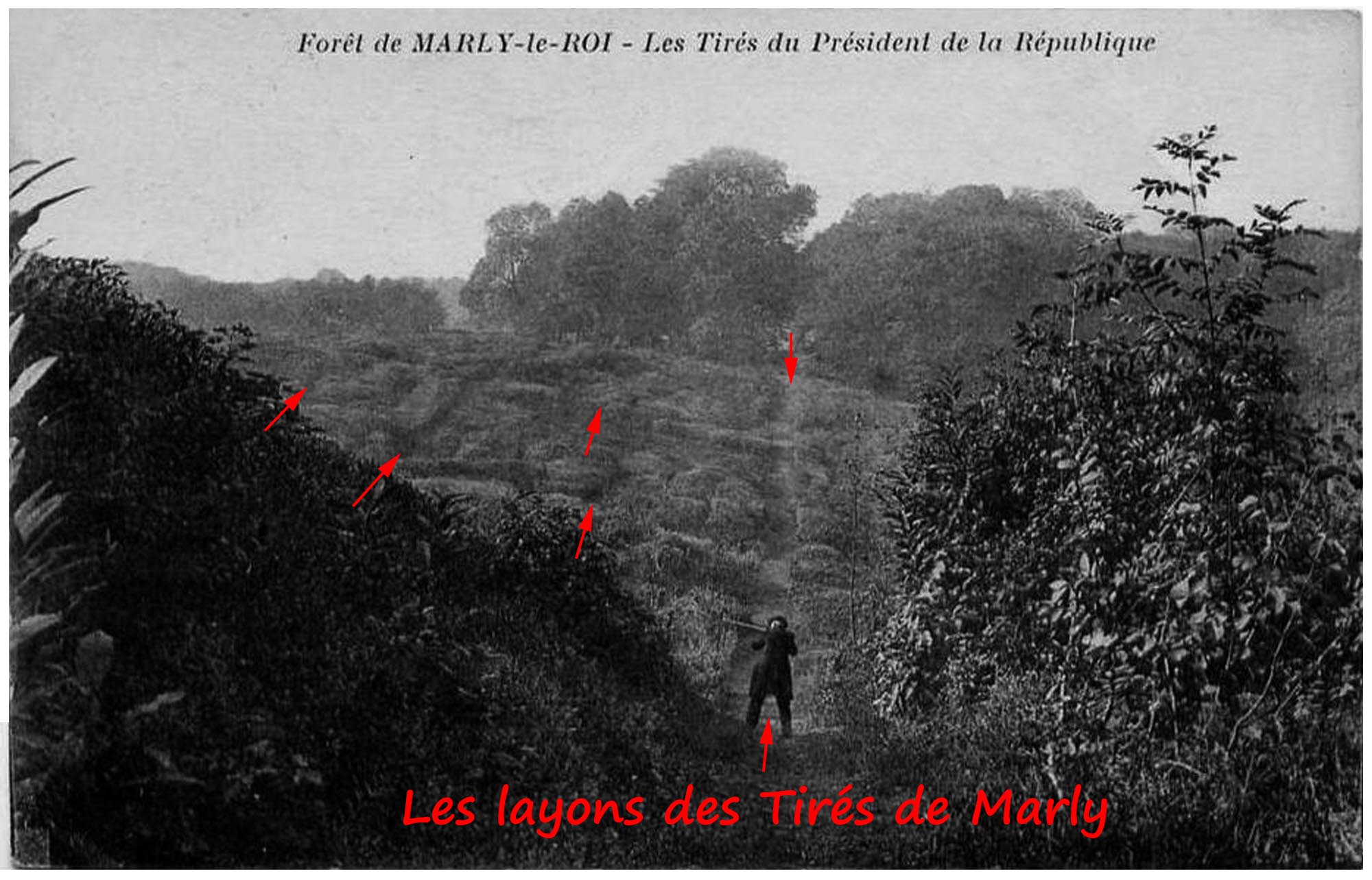 13 - Dans les tirés de la chasse de Marly (01a1).jpg