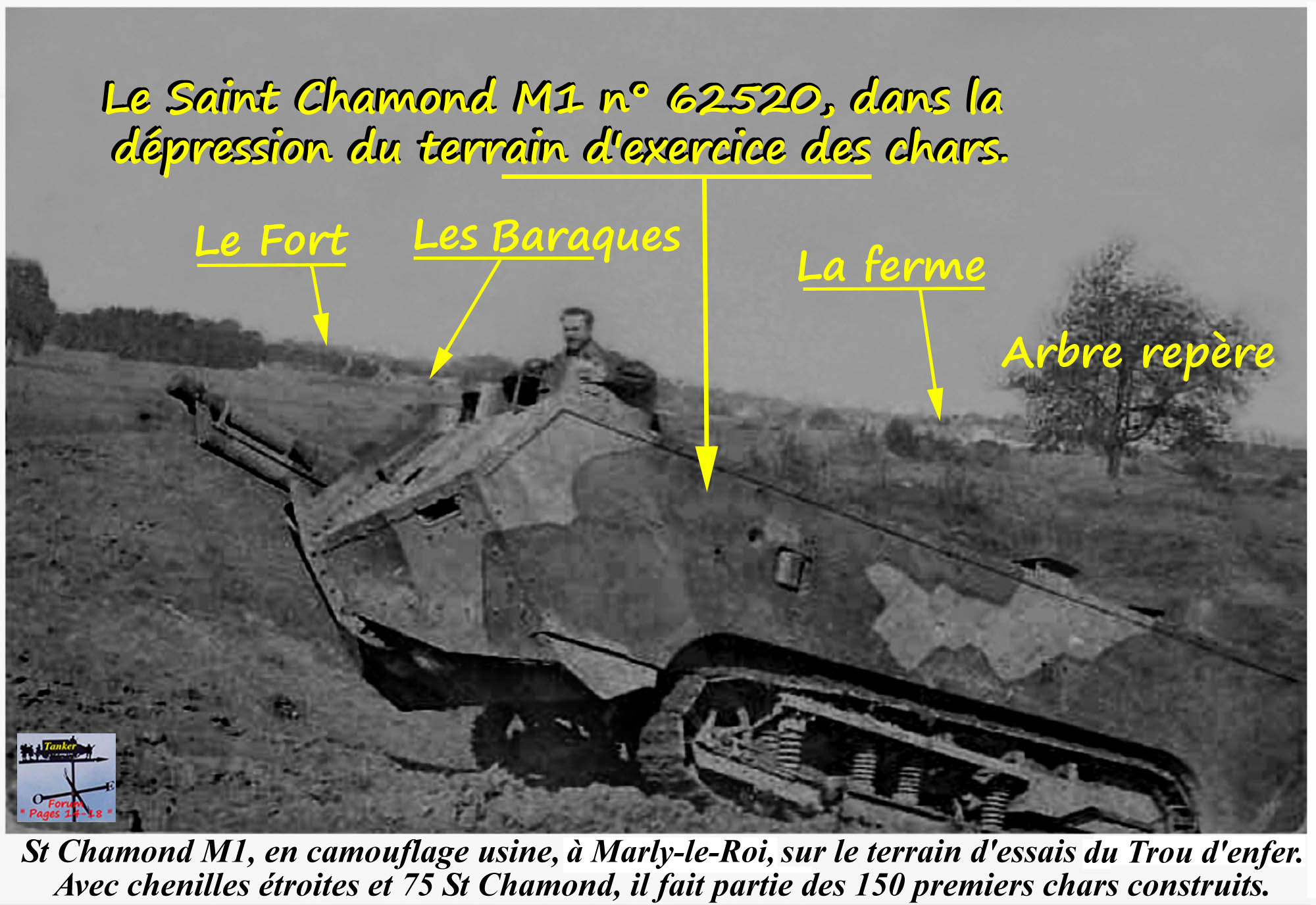 29 - Arbre repère - St Chamond M1 n° 62520 (01a1).jpg