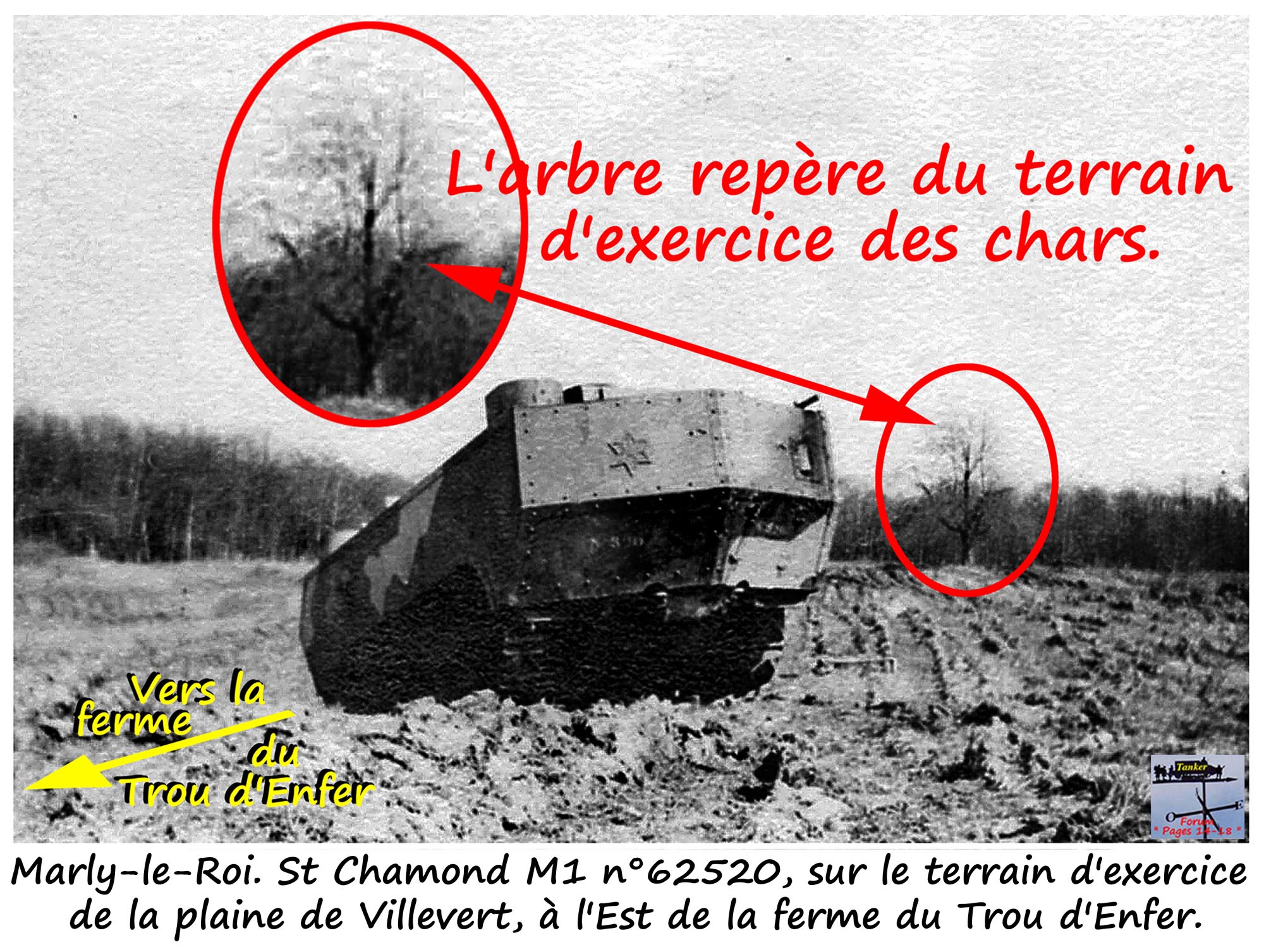 33 - Arbre repère - St Chamond M1 n° 62520 (01a1) .jpg