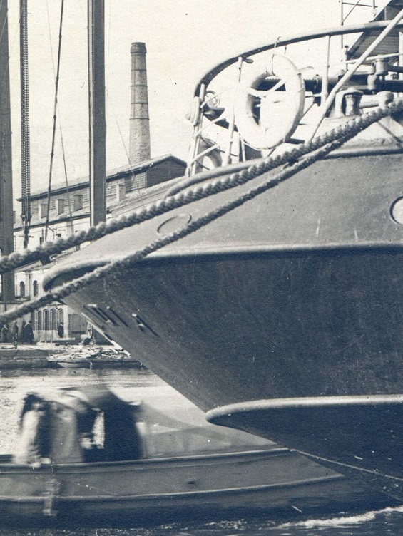 65 .jpg