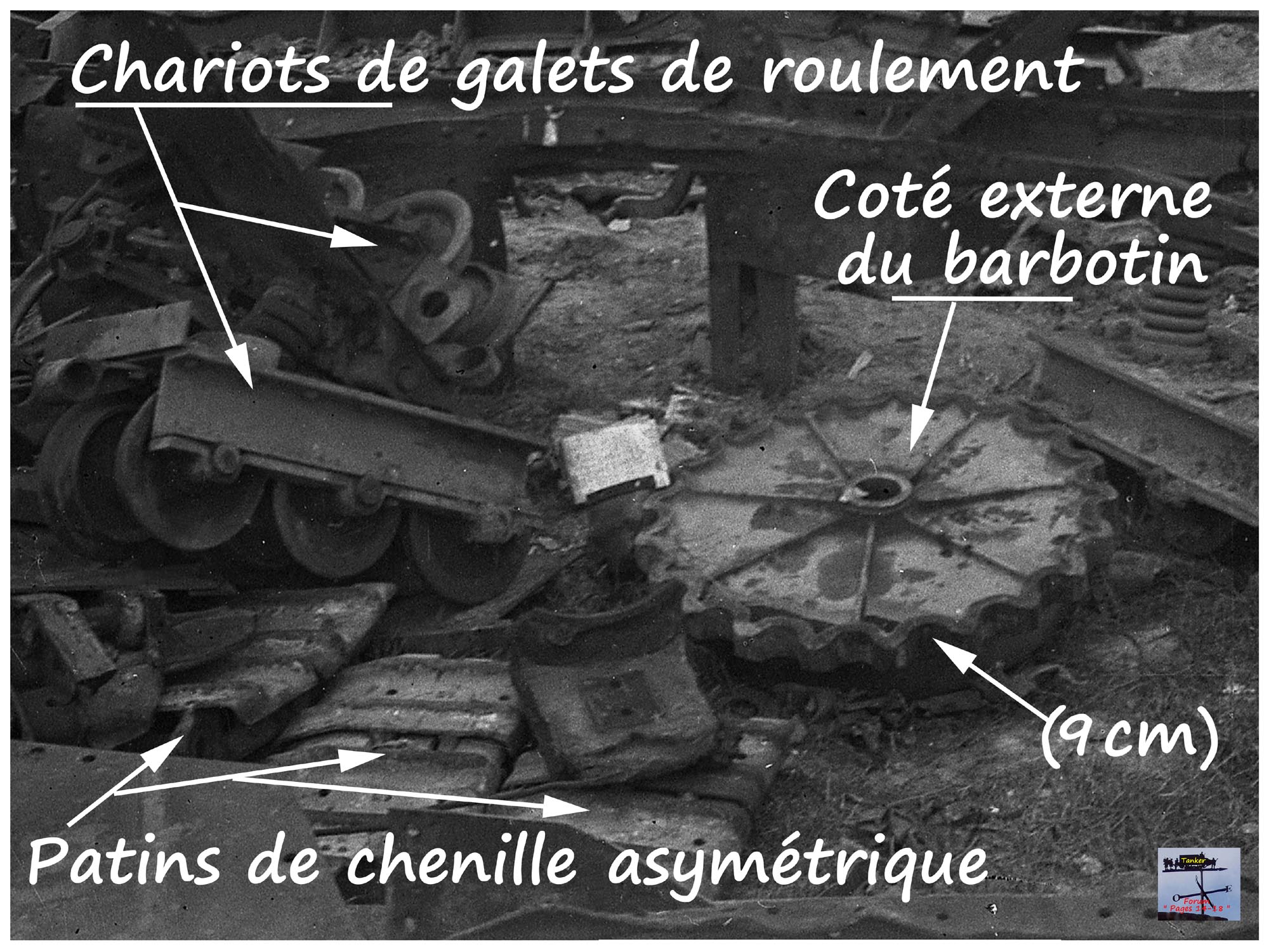 16 - Barbotin de Saint Chamond .jpg