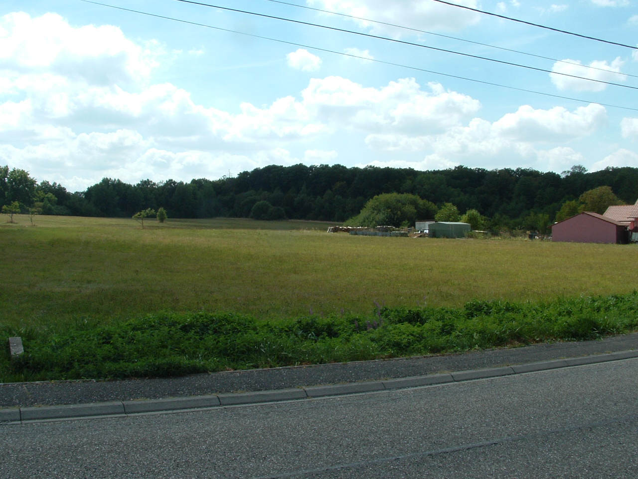 Mittersheim, Bois de Muehlwald