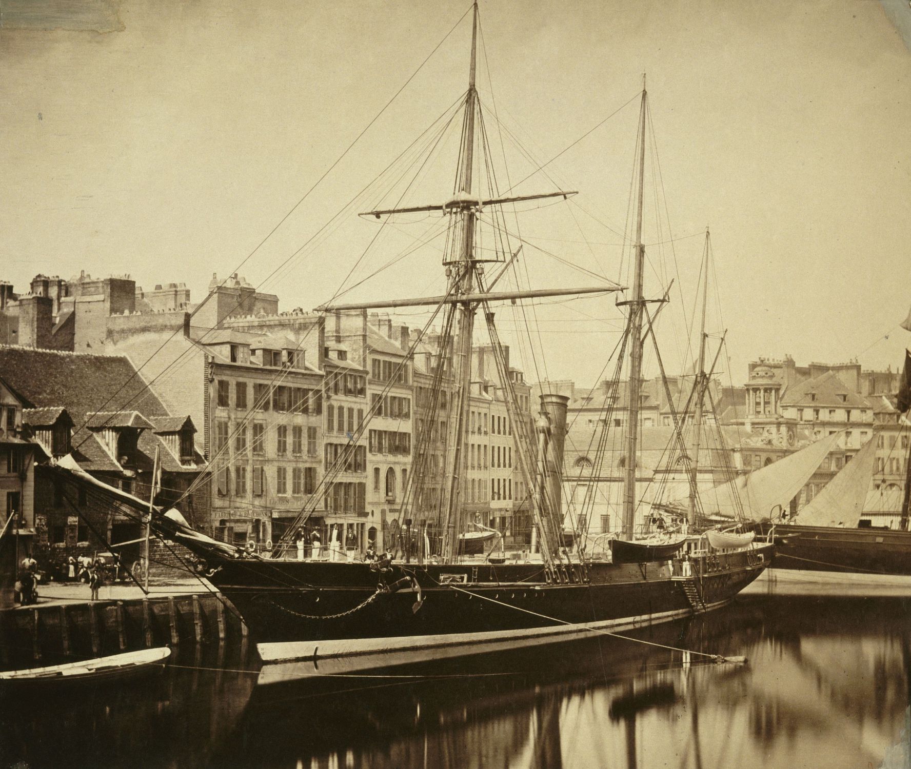 REINE-HORTENSE, futur FAUNE - I -  .jpg