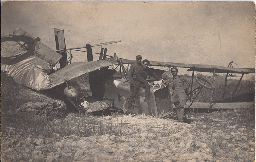 Avion abattu et chien.jpg