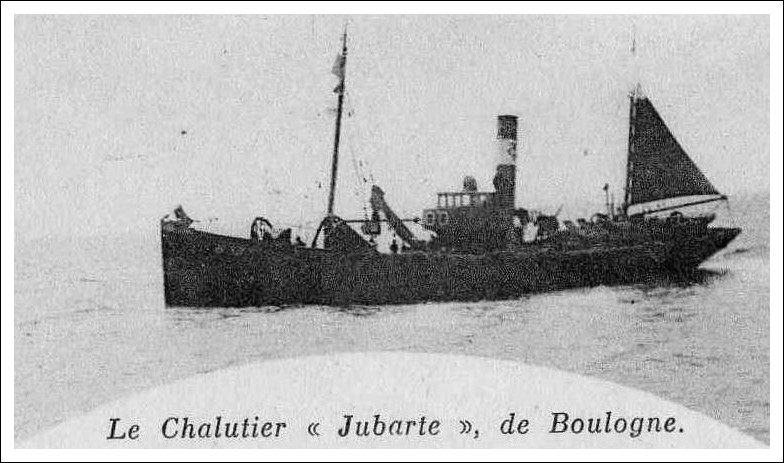 JUBARTE