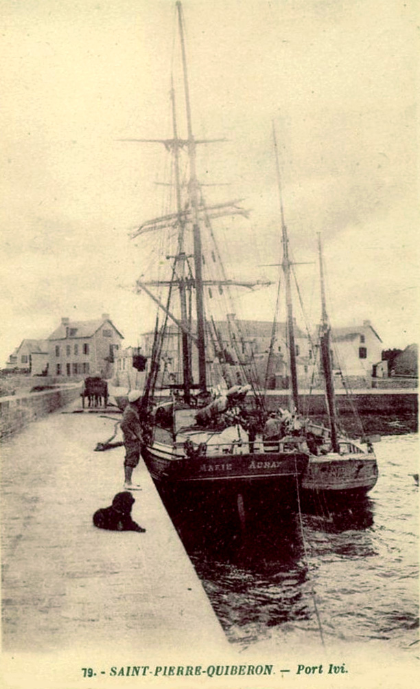 MARIE – Brick-goélette – Port d'Auray – I – .jpg