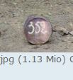 352.JPG