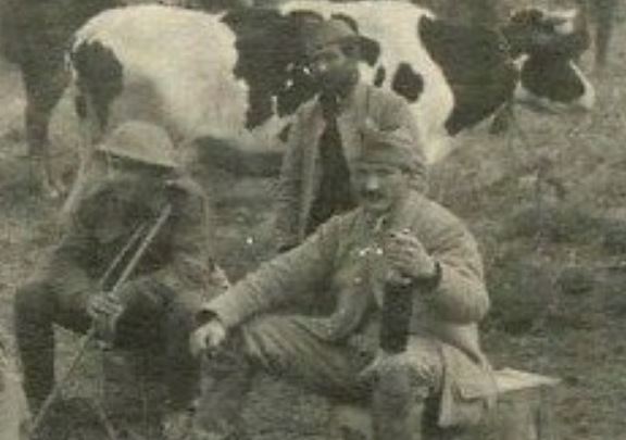 Deux artilleurs un Digger et une vache.JPG