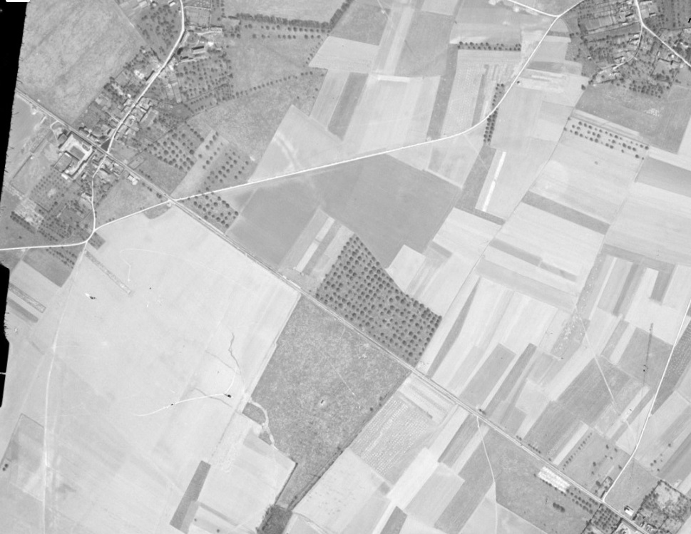 Suzay-1947.jpg