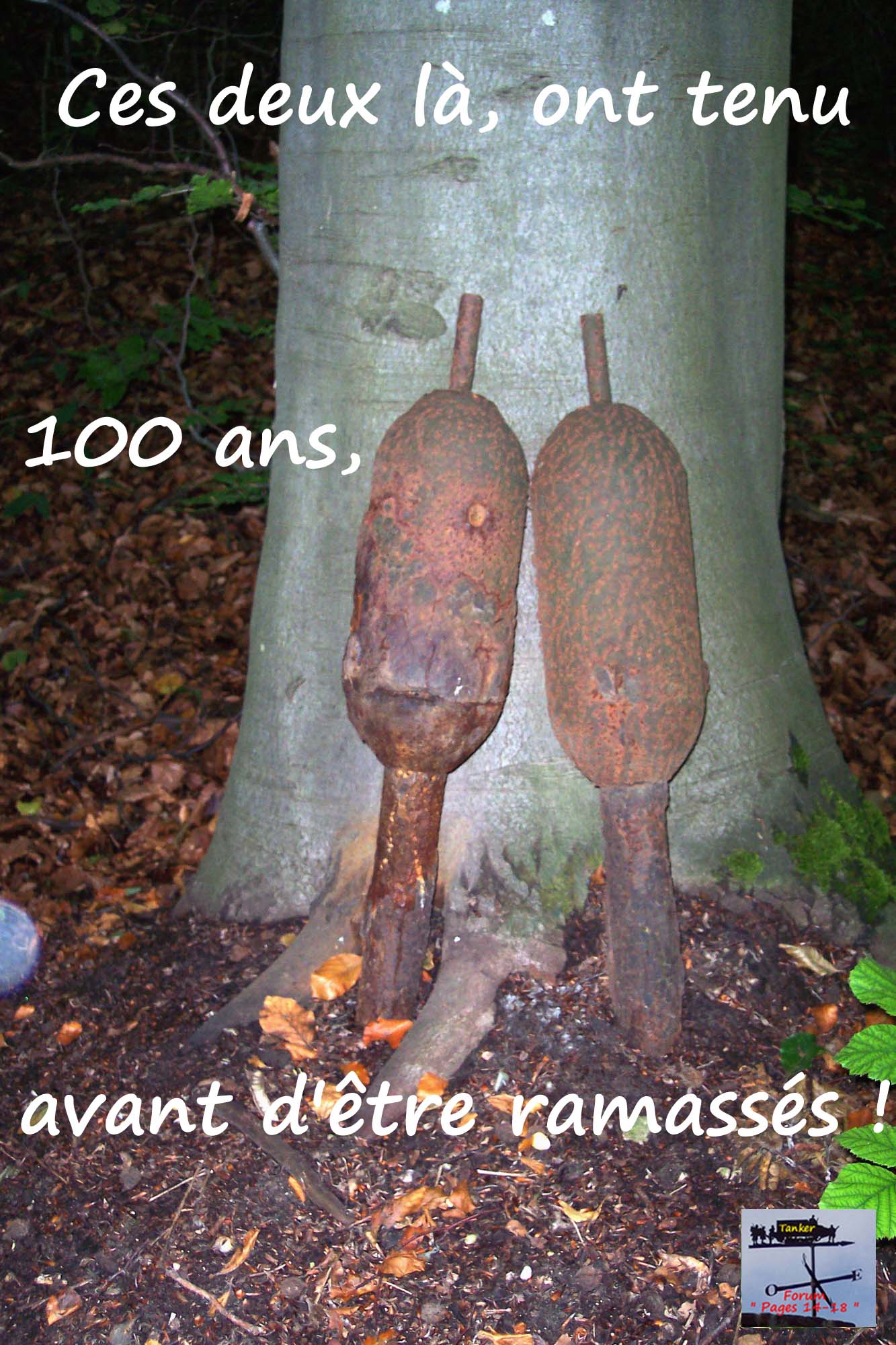 13 - Secteur du Bois St Mard - 040814 (01a).jpg